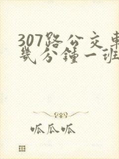 307路公交车几分钟一班