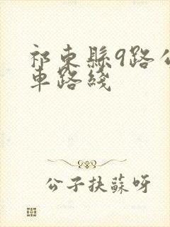 祁东县9路公交车路线