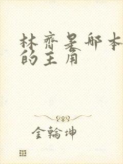 林齐是哪本小说的主角