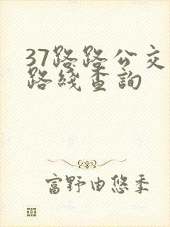 37路路公交车路线查询