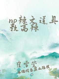 np辣文道具调教高辣