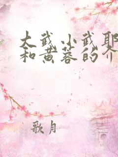 大武小武耶律齐和黄蓉的介绍