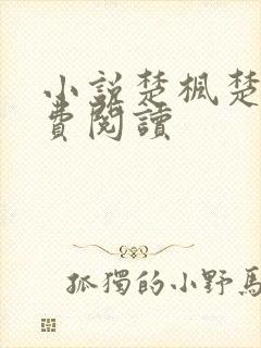 小说楚枫楚月免费阅读