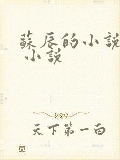 苏辰的小说主角 小说