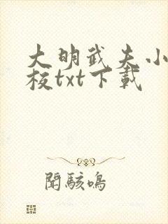大明武夫小说精校txt下载
