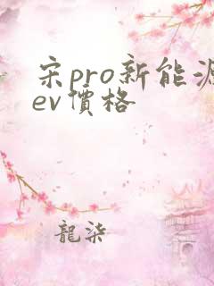 宋pro新能源ev价格