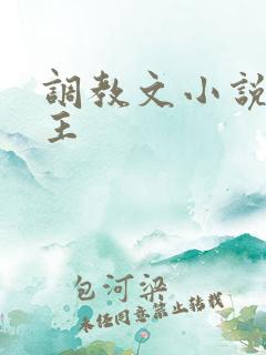 调教文小说双男主