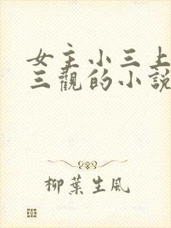 女主小三上位无三观的小说