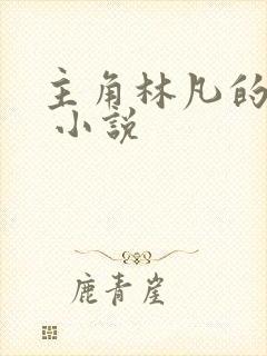 主角林凡的小说 小说