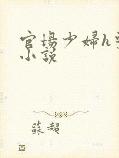 官场少妇h系列小说