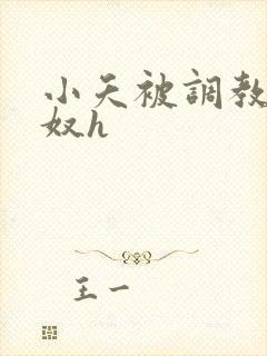 小夭被调教成肉奴h