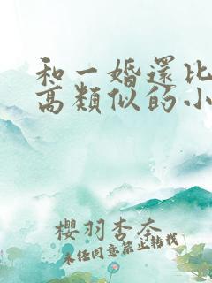 和一婚还比一婚高类似的小说