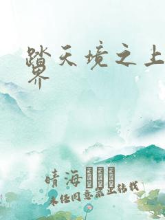 踏天境之上的境界
