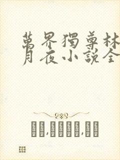 万界独尊林枫妖月夜小说全文免费阅读