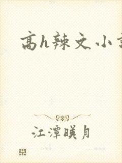 高h辣文小说h