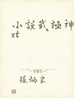 小说武极神王txt 小说武极神王txt