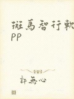 斑马智行软件app