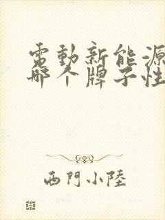 电动新能源汽车哪个牌子性价比高
