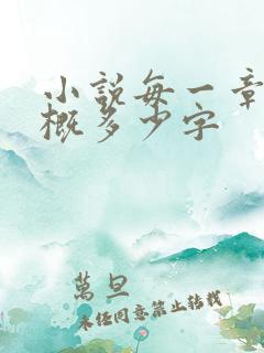 小说每一章节大概多少字