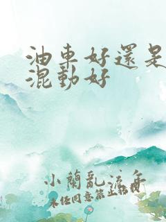 油车好还是插电混动好