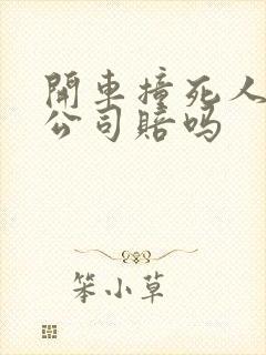 开车撞死人保险公司赔吗