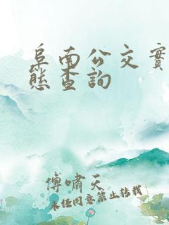 阜南公交实时动态查询