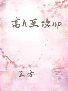 高h互攻np