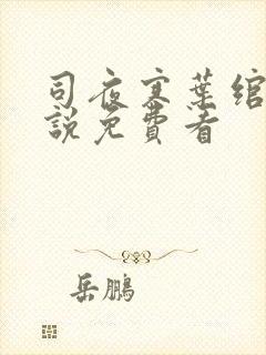 司夜寒叶绾绾小说免费看