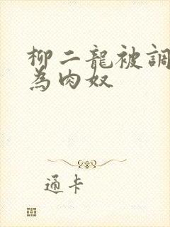 柳二龙被调教沦为肉奴
