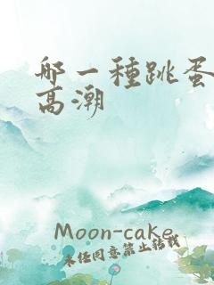 哪一种跳蛋最快高潮 哪一种跳蛋最快高潮