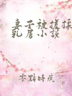 妻子被搓揉高耸乳房小说
