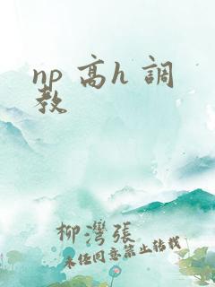 np 高h 调教