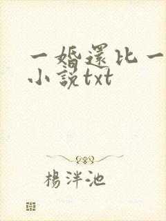 一婚还比一婚高小说txt