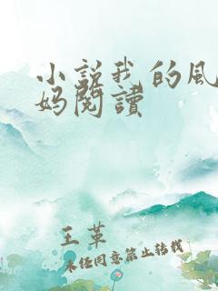 小说我的风流妈妈阅读