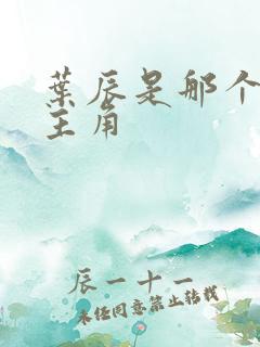 叶辰是那个小说主角