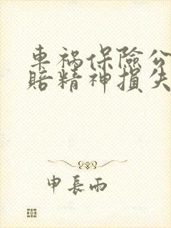 车祸保险公司不赔精神损失费