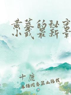 黄蓉的秘密大武小武最新章节更新内容