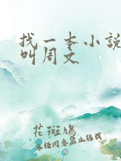 找一本小说主角叫周文