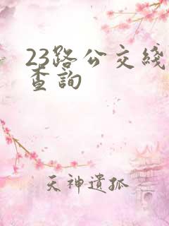 23路公交线路查询 23路公交线路查询