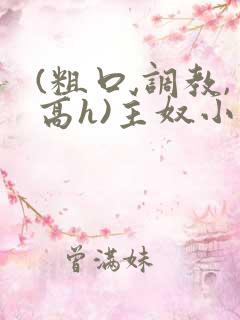(粗口,调教,高h)主奴小说