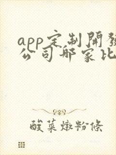 app定制开发公司哪家比较好