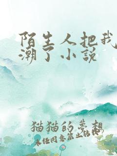 陌生人把我添高潮了小说