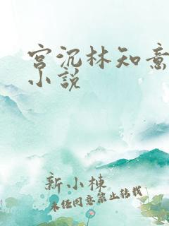 宫沉林知意正版小说