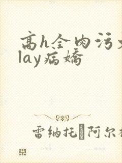 高h全肉污文play病娇 高h全肉污文play病娇