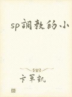 sp调教的小说