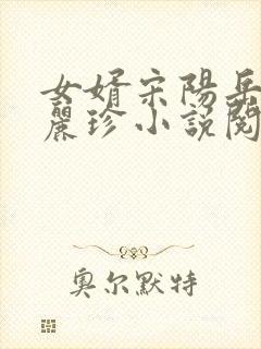 女婿宋阳岳母陈丽珍小说阅读
