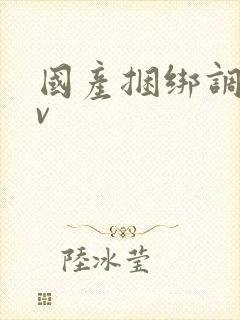 国产捆绑调教av
