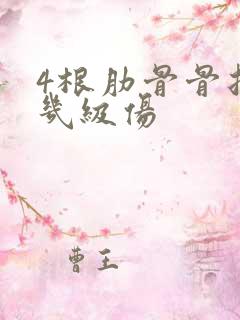 4根肋骨骨折算几级伤