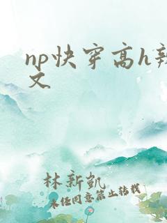np快穿高h辣文