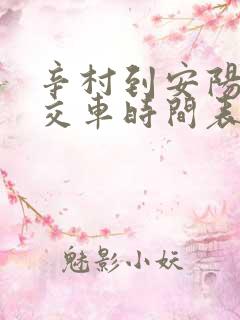 辛村到安阳的公交车时间表